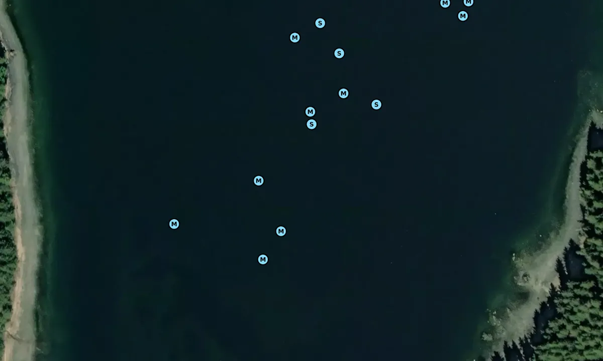 Satelite image of Snug Cove 1