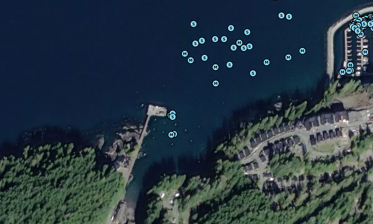 Satelite image of Snugglers Cove