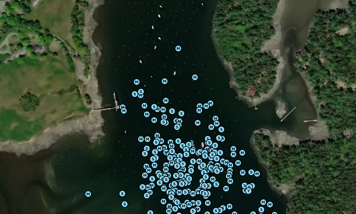 Satelite image of Somes Harbor