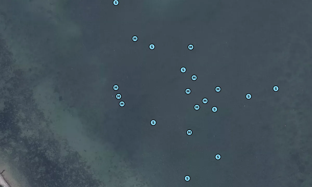 Satelite image of sommerlyst Ærø bouy