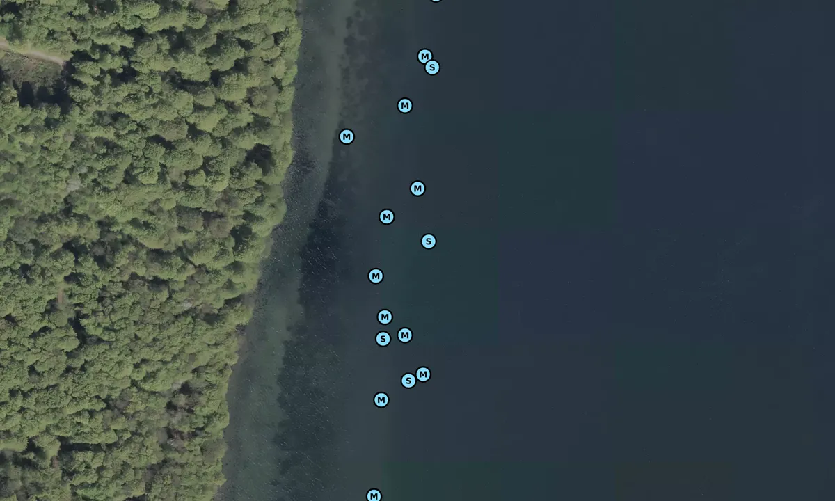 Satelite image of Sønderborg Yacht-Club bouy