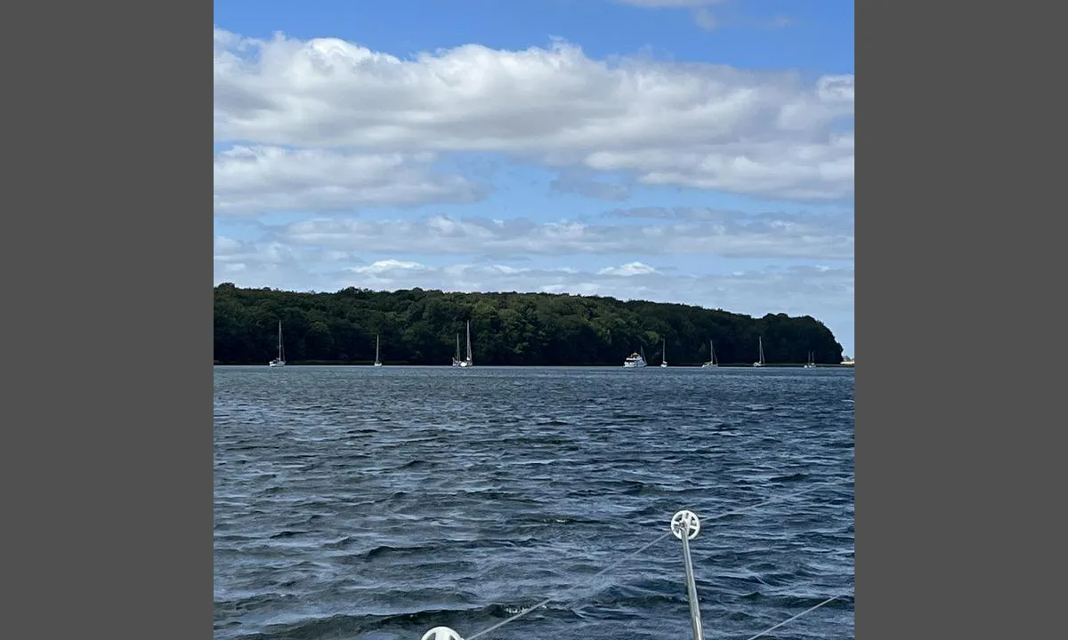 Sønderborg Yacht-Club bouy: {"base": "no", "no": "Fin svaiplass i le av b\u00f8keskogen ved Sottrups skov", "se": "Bra sv\u00e4ngrum i l\u00e4 av bokskogen vid Sottrups skog", "en": "Good anchorage in the lee of the beech forest near Sottrups skov", "da": "Godt svingeomr\u00e5de i l\u00e6 af b\u00f8geskoven ved Sottrups skov"}