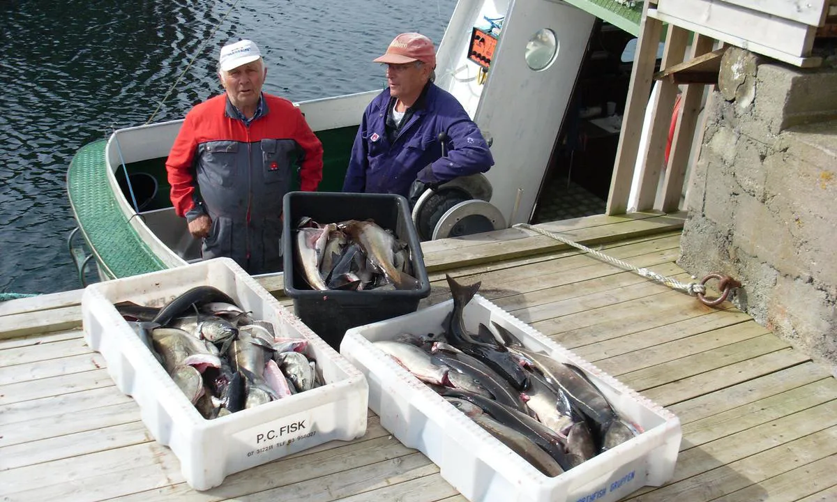 Søndre Bjørnsund: {"base": "no", "no": "Fiske rundt S\u00f8re Bj\u00f8rnsund", "se": "Fiske runt S\u00f6dra Bj\u00f6rnsund", "en": "Fishing around S\u00f8re Bj\u00f8rnsund", "da": "Fiskeri rundt S\u00f8re Bj\u00f8rnsund"}