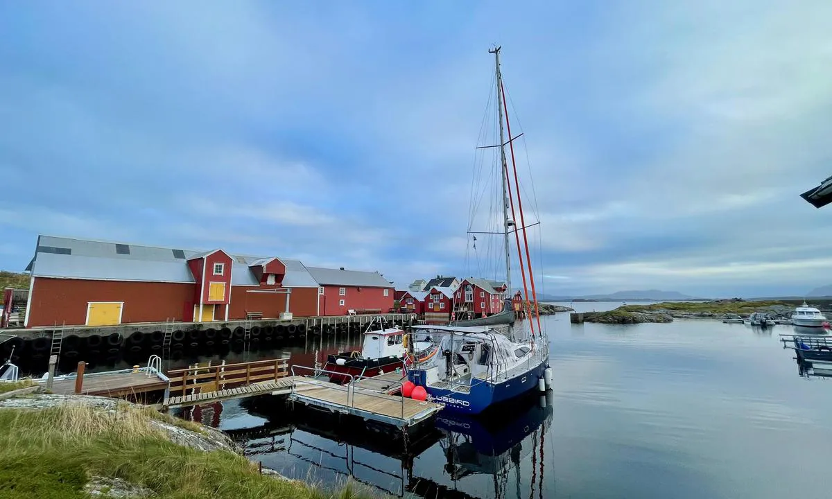 Søndre Bjørnsund: {"base": "no", "no": "S\u00f8ndre Bj\u00f8rnsund er en av de mest idylliske plassene langs M\u00f8rekysten. Innseilingen er veldig smal, men med god dybde. Sp\u00f8r pent, og man kan f\u00e5 l\u00e5ne ledige private plasser om en ikke \u00f8nsker \u00e5 ligge inn mot kai til vestre p\u00e5 bildet.", "se": "S\u00f6dra Bj\u00f6rnsund \u00e4r en av de mest idylliska platserna l\u00e4ngs M\u00f8re-kusten. Inseglingen \u00e4r v\u00e4ldigt smal, men med bra djup. Fr\u00e5ga v\u00e4nligt, och man kan f\u00e5 l\u00e5na lediga privata platser om man inte \u00f6nskar ligga vid kajen till v\u00e4nster p\u00e5 bilden.", "en": "S\u00f8ndre Bj\u00f8rnsund is one of the most idyllic places along the M\u00f8re coast. The approach is very narrow, but with good depth. Ask nicely, and you may be allowed to borrow available private berths if you do not wish to moor at the quay to the west in the picture.", "da": "S\u00f8ndre Bj\u00f8rnsund er et af de mest idylliske steder langs M\u00f8rekysten. Indsejlingen er meget smal, men med god dybde. Sp\u00f8rg p\u00e6nt, og man kan f\u00e5 lov at l\u00e5ne ledige private pladser, hvis man ikke \u00f8nsker at ligge ind mod kaj til venstre p\u00e5 billedet."}