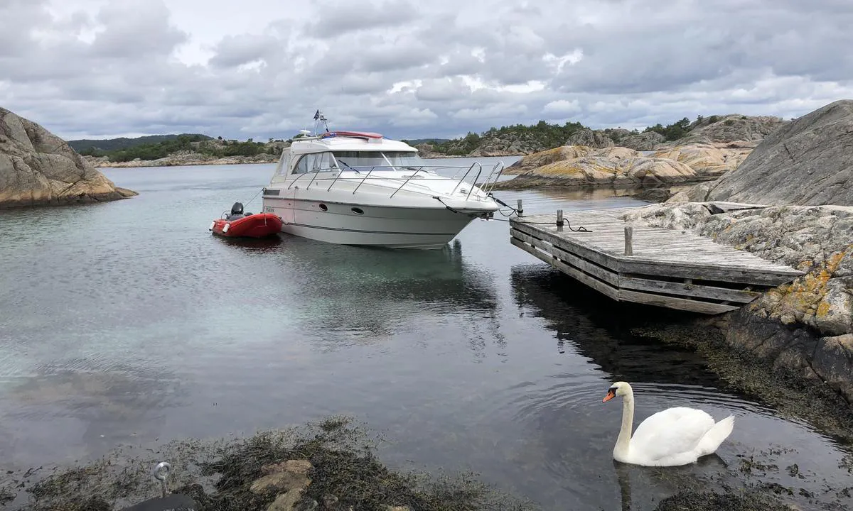 Søndre Vassøy: {"base": "no", "no": "Slipp dreggen n\u00e6rmest mulig fjellet motsatt av brygga. Dybder p\u00e5 1,5 meter. \r\nFin liten sandstrand inne i bukta her.", "se": "Sl\u00e4pp ankaret s\u00e5 n\u00e4ra klippan som m\u00f6jligt p\u00e5 motsatt sida av bryggan. Djup p\u00e5 1,5 meter. Fin liten sandstrand inne i bukten h\u00e4r.", "en": "Drop the anchor as close to the rock opposite the dock as possible. Depths of 1.5 meters. Nice little sandy beach inside the bay here.", "da": "Slip ankret s\u00e5 t\u00e6t som muligt p\u00e5 klippen overfor broen. Dybder p\u00e5 1,5 meter. Fin lille sandstrand inde i bugten her."}