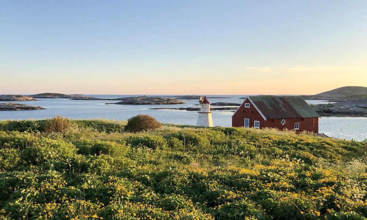 Utsikt sørover fra Heimværet på Sør-Gjæslingan. Gressletter, ei lita fyrlykt og et naust.