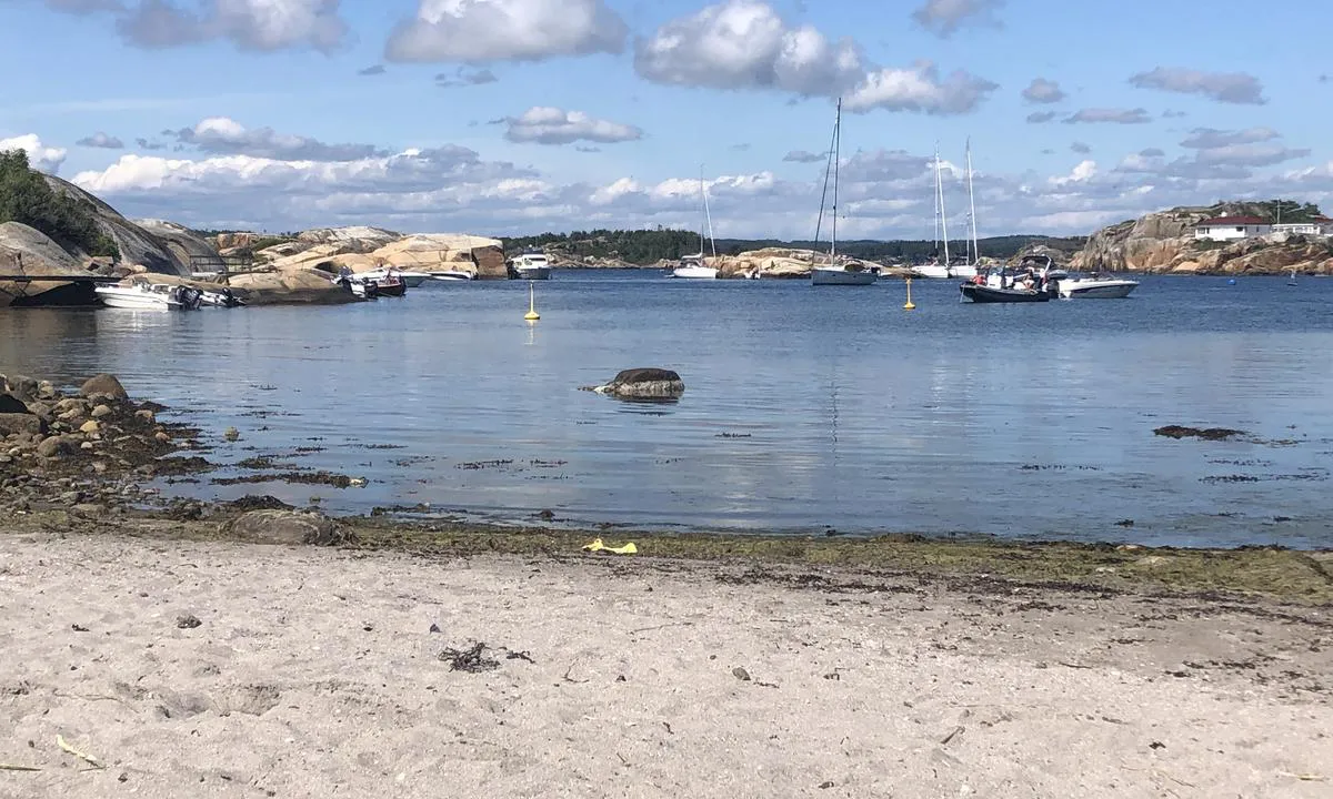 Sør i Ommane - Ølbergholmen: {"base": "no", "no": "Flott Strand inne i bukten. Langgrunt, s\u00e5 st\u00f8rre b\u00e5ter kan ikke benytte brygge p\u00e5 styrbord side av innseilingen. Det var mange b\u00e5ter p\u00e5 dagstur som l\u00e5 p\u00e5 svai i bukten.", "se": "Fin strand inne i bukten. L\u00e5nggrunt, s\u00e5 st\u00f6rre b\u00e5tar kan inte anv\u00e4nda bryggan p\u00e5 styrbordssidan av infarten. Det var m\u00e5nga b\u00e5tar p\u00e5 dagstur som l\u00e5g p\u00e5 svaj i bukten.", "en": "Beautiful beach inside the bay. Shallow waters, so larger boats cannot use the dock on the starboard side of the entrance. There were many boats on day trips anchored in the bay.", "da": "Flot Strand inde i bugten. Lavvandet, s\u00e5 st\u00f8rre b\u00e5de kan ikke benytte bro p\u00e5 styrbord side af indsejlingen. Der var mange b\u00e5de p\u00e5 dagstur som l\u00e5 for anker i bugten."}