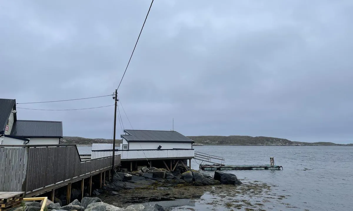 Sørburøyflesa: Ved fiskemottaket/ butikken finnes ei litt sjaber 12 m flytebrygge. Utsatt for vær og sjø fra syd.