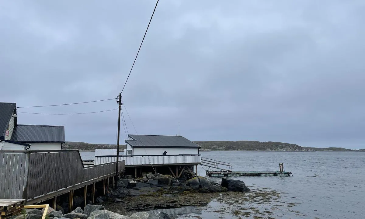 Sørburøyflesa: {"base": "no", "no": "Ved fiskemottaket/ butikken finnes ei litt sjaber 12 m flytebrygge. Utsatt for v\u00e6r og sj\u00f8 fra syd.", "se": "Vid fiskemottagningen/butiken finns en lite sjaskig 12 m flytbrygga. Utsatt f\u00f6r v\u00e4der och sj\u00f6 fr\u00e5n s\u00f6der.", "en": "At the fish depot/store, there is a somewhat shabby 12-meter floating dock. Exposed to weather and sea from the south.", "da": "Ved fiskemodtagelsen/butikken findes en lidt slidt 12 meter flydebro. Udsat for vejr og s\u00f8 fra syd."}