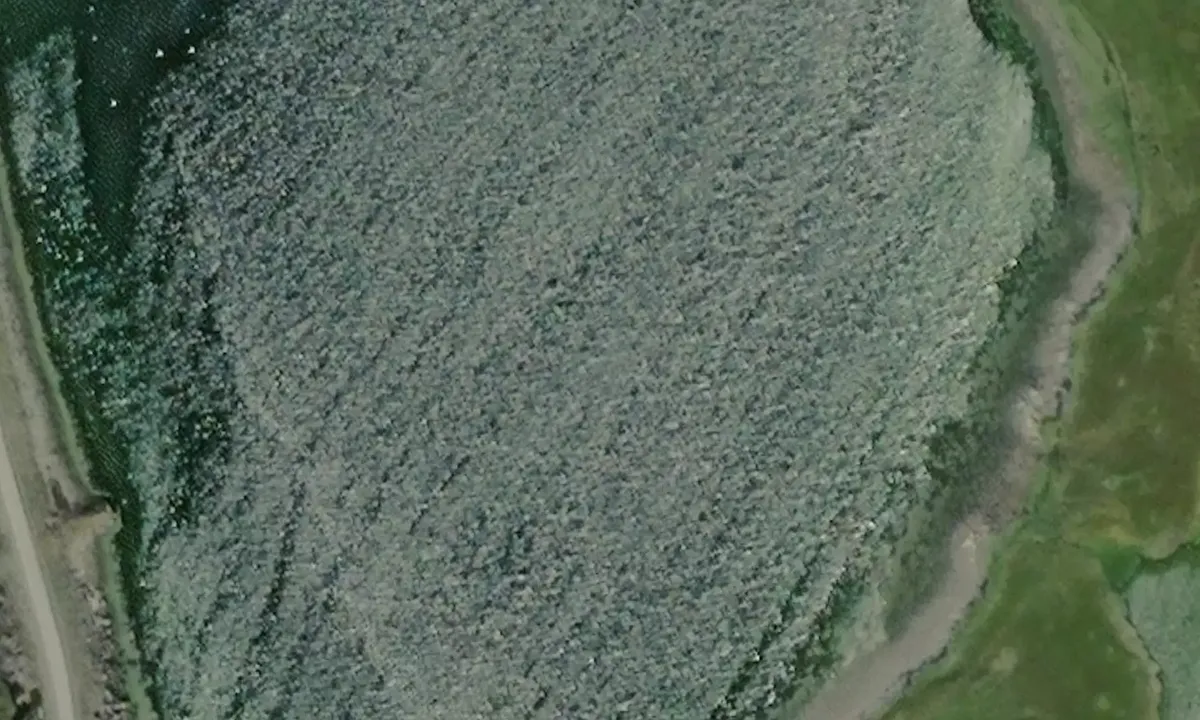 Satelite image of Sore Kristinehamna