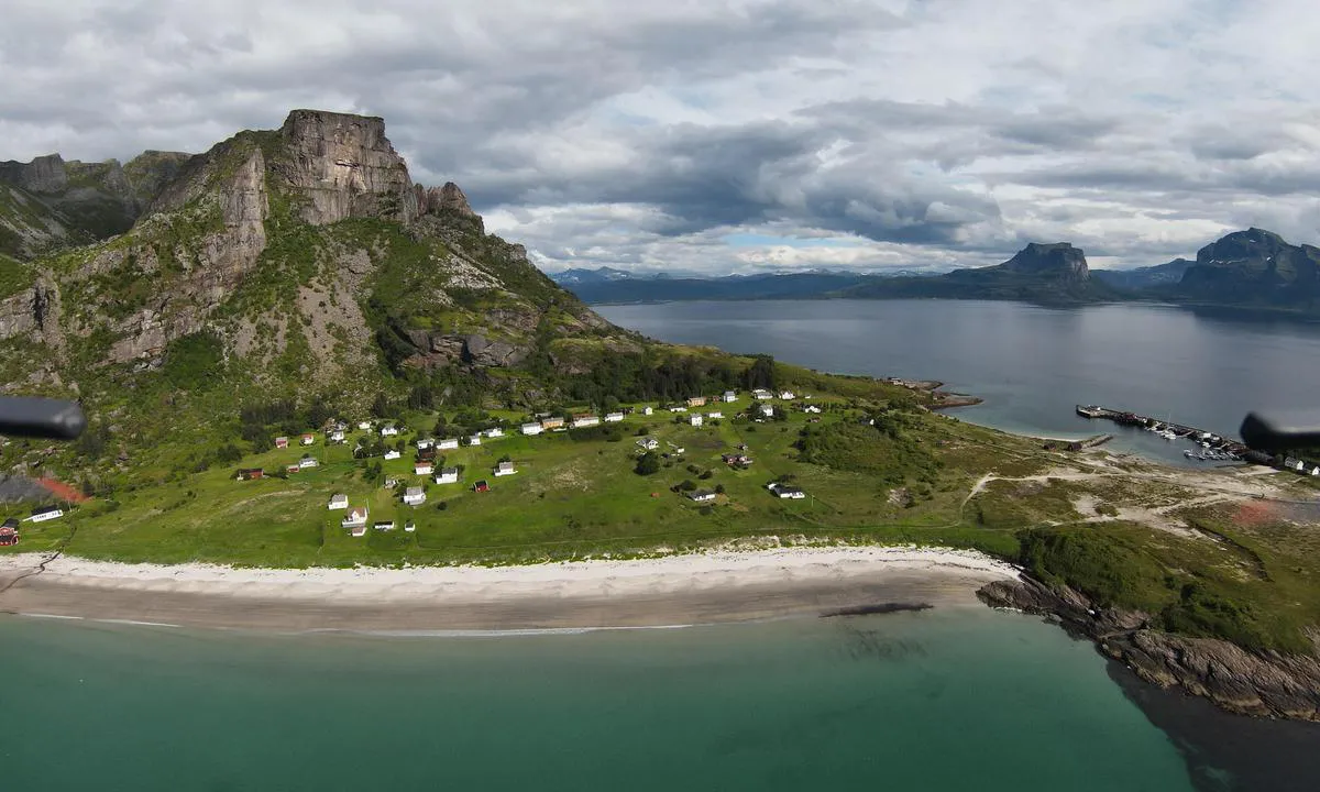 Sørfugløy