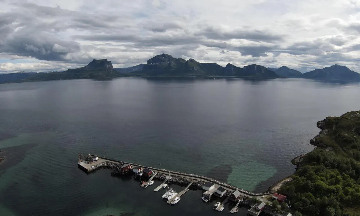 Sørfugløy