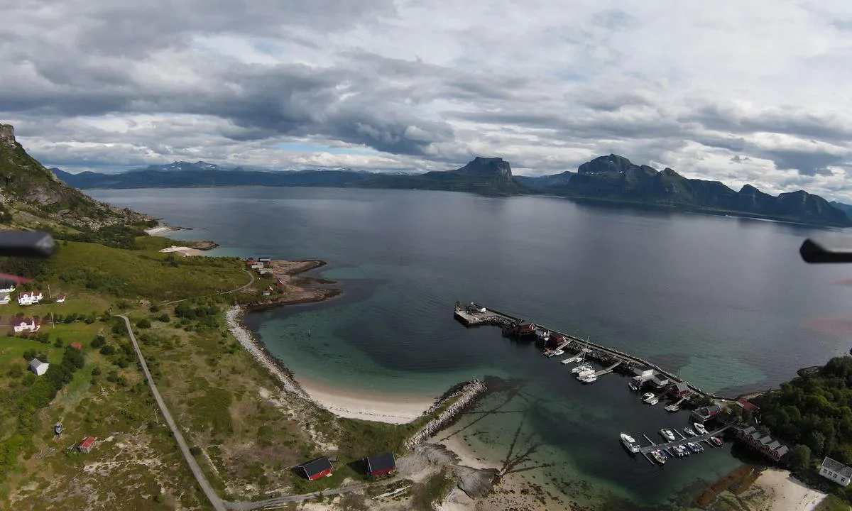 Sørfugløy