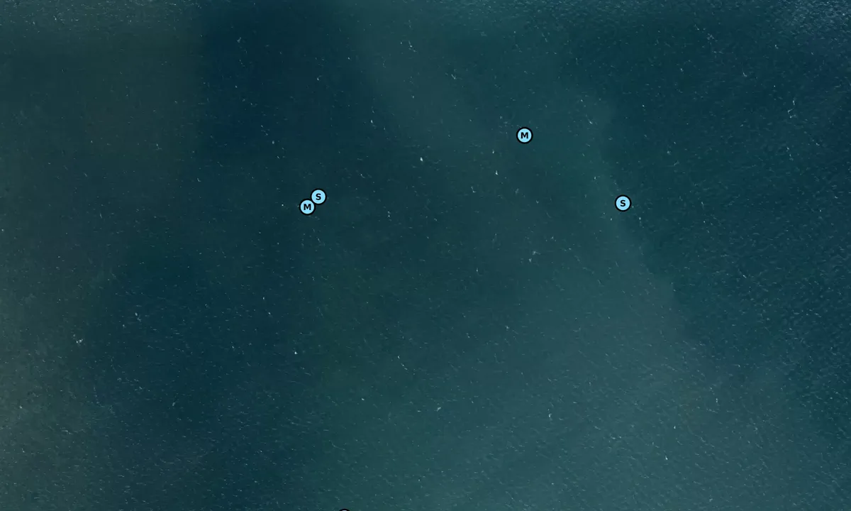 Satelite image of Sortsøhestehave bouy