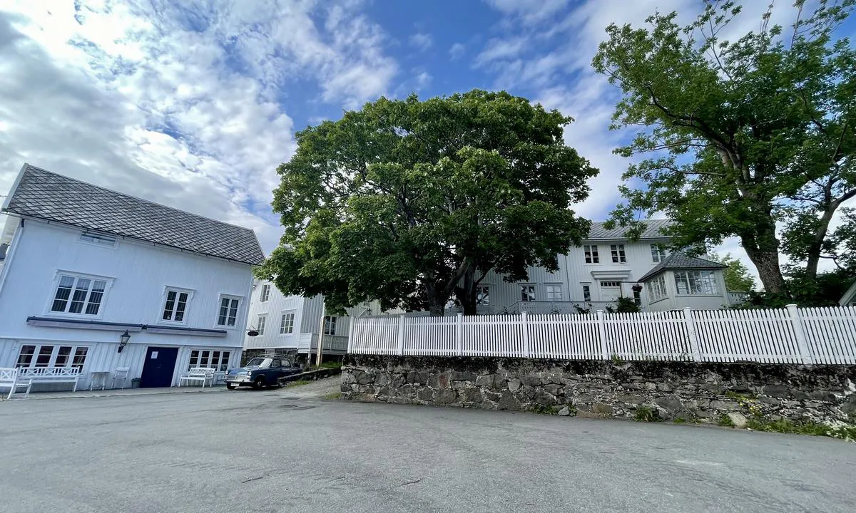 Sørvågen: {"base": "no", "no": "Idyllisk inn i mellom husene like bortenfor Restaurant Maren Anna. Her finnes en krambod som er \u00e5pen et par timer midt p\u00e5 dagen.", "se": "Idyllisk in mellan husen strax bortom Restaurant Maren Anna. H\u00e4r finns det en krambod som \u00e4r \u00f6ppen ett par timmar mitt p\u00e5 dagen.", "en": "Idyllically nestled among the houses just beyond Restaurant Maren Anna. Here you will find a small general store that is open for a few hours in the middle of the day.", "da": "Idyllisk ind mellem husene lige forbi Restaurant Maren Anna. Her findes en k\u00f8bmandsbutik, som er \u00e5ben et par timer midt p\u00e5 dagen."}