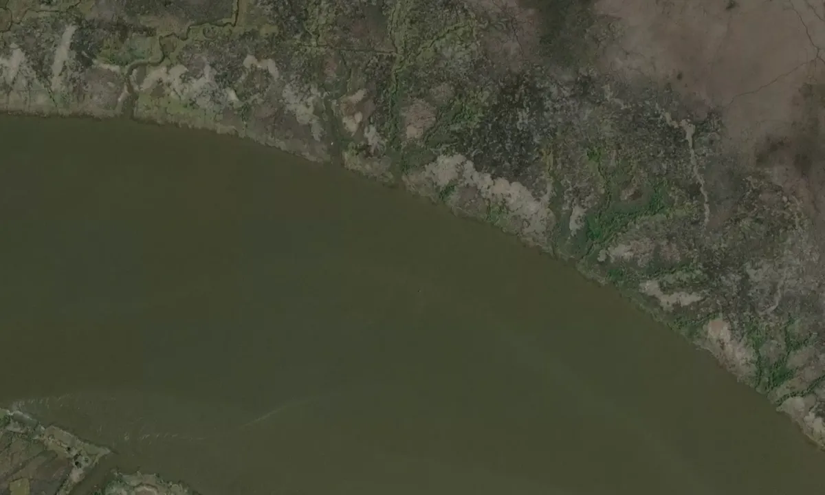 Flyfoto av South Altamaha River