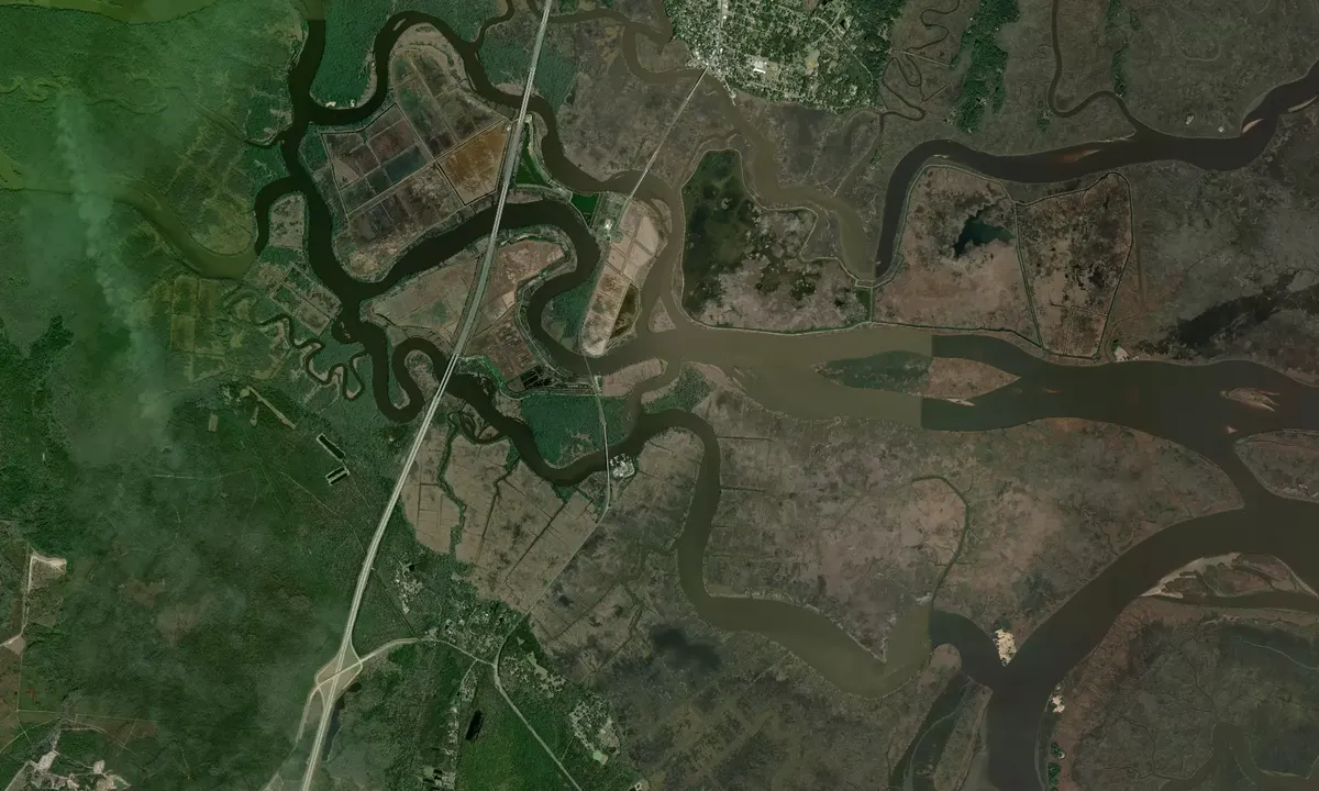 Flyfoto av South Altamaha - Wood Cut