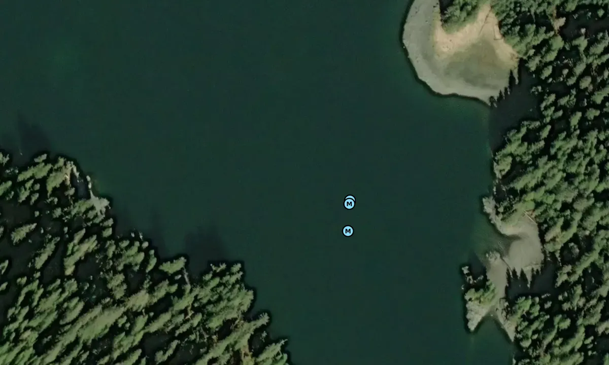 Satelite image of South Arm