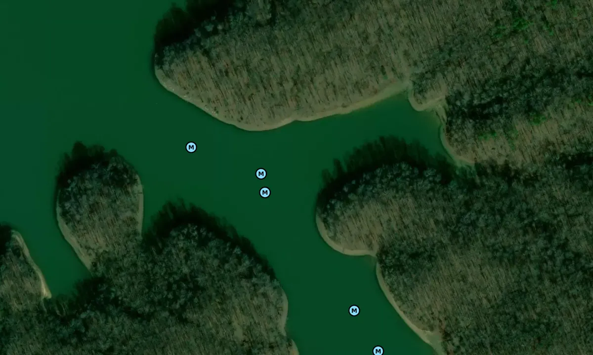 Satelite image of South Cove