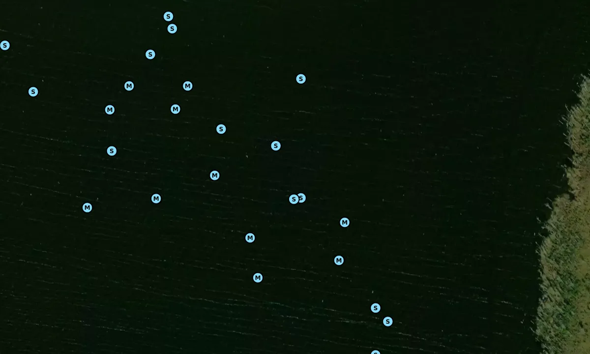 Satelite image of South Lake Entrance