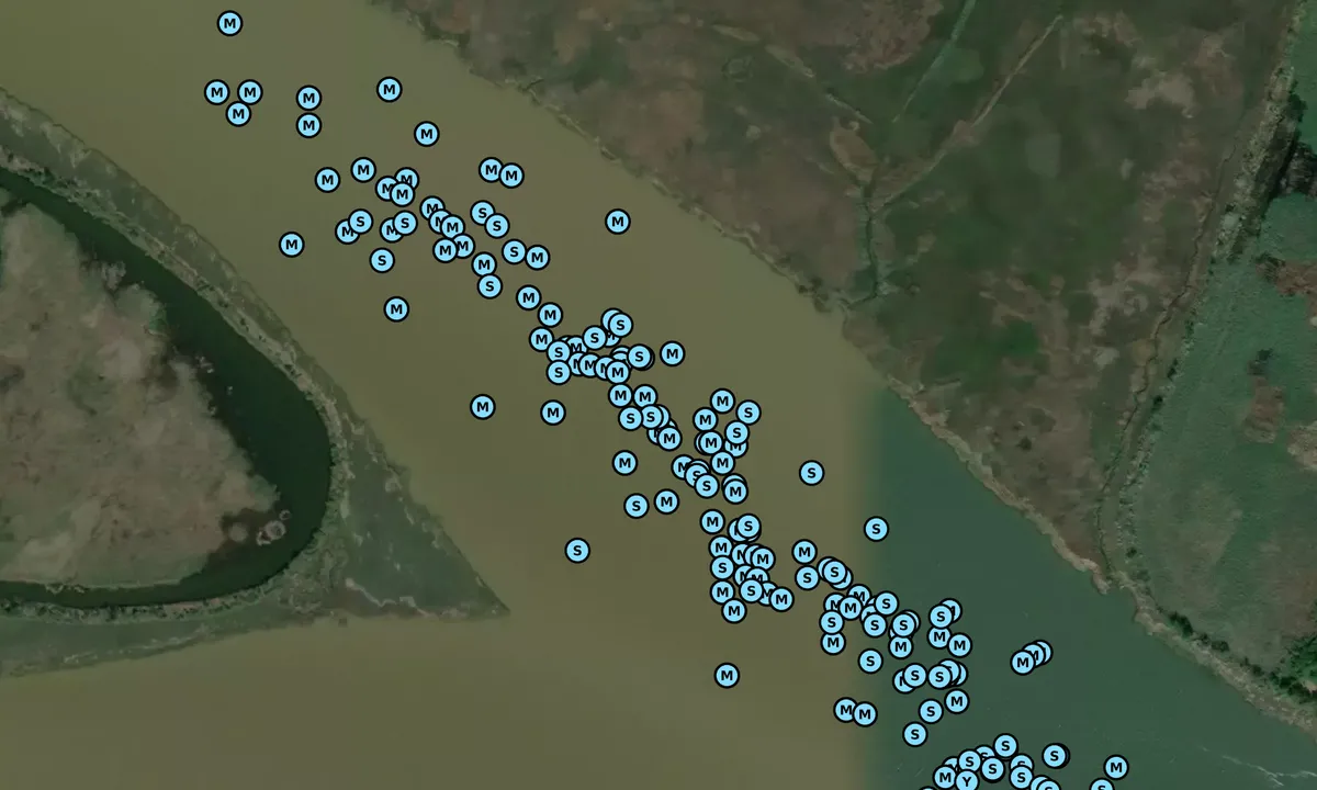 Satelite image of South Santee River - 2
