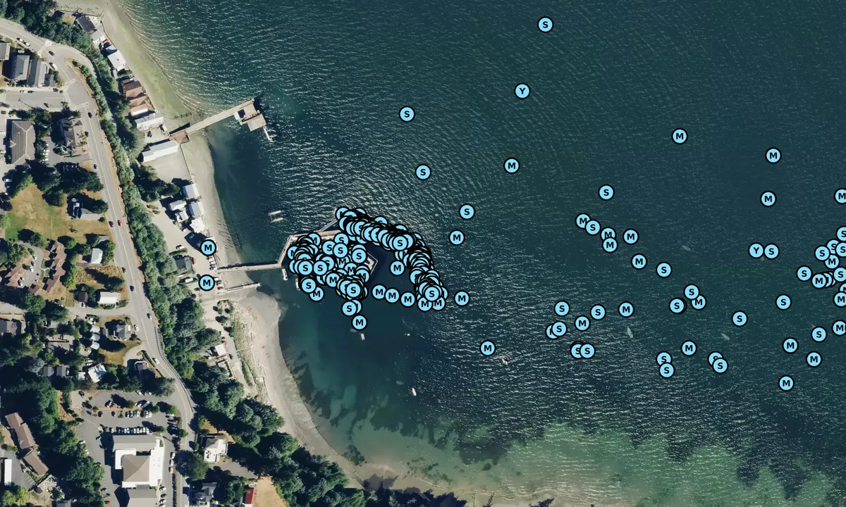 Satelite image of South Whidbey Harbor
