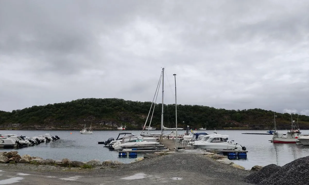 Søvik: {"base": "en", "no": "Rundt 6 m/s utenfor, fra s\u00f8r, kan du merke det i havnen, men du har god ly.", "se": "Runt 6 m/s utanf\u00f6r, fr\u00e5n syd, k\u00e4nner man det i hamnen men du har gott skydd.", "en": "Around 6 m/s outside, from South, you can feel it in the harbour but you have good shelter.", "da": "Omkring 6 m/s udenfor, fra syd, kan du m\u00e6rke det i havnen, men du har god l\u00e6."}