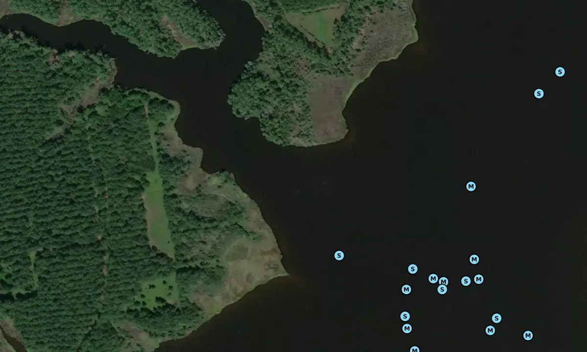 Satelite image of Spellman Creek