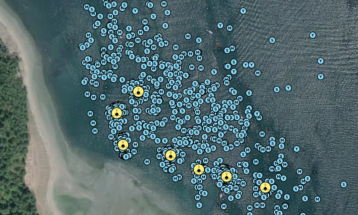 Satelite image of Spencer Spit - North