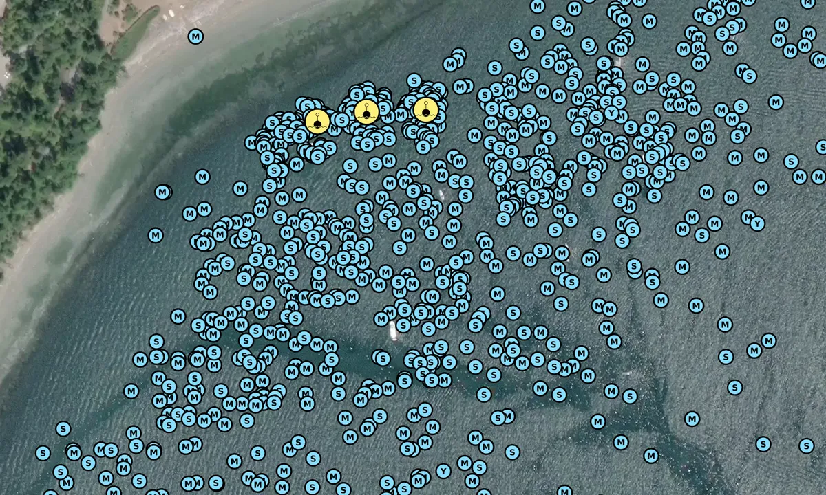 Satelite image of Spencer Spit - South