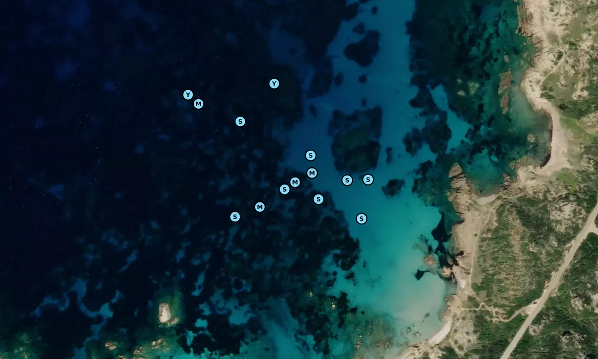 Satelite image of Spiaggia di Bassa Trinita