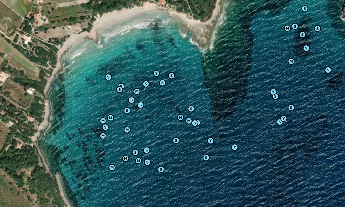 Satelite image of Spiaggia di Guidi