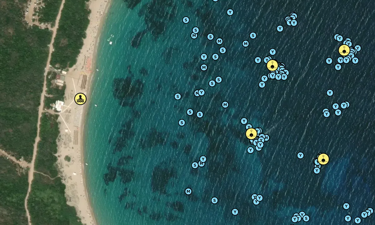 Satelite image of Spiaggia di Liscia Ruja
