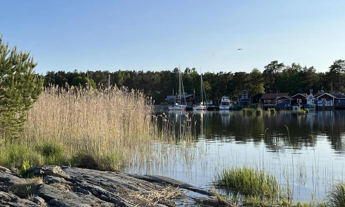 Spiken: Bildet tatt fra badeplass. Flott havn. Kunne vært enda klarere merket at gjestehavnen ligger til venstre.