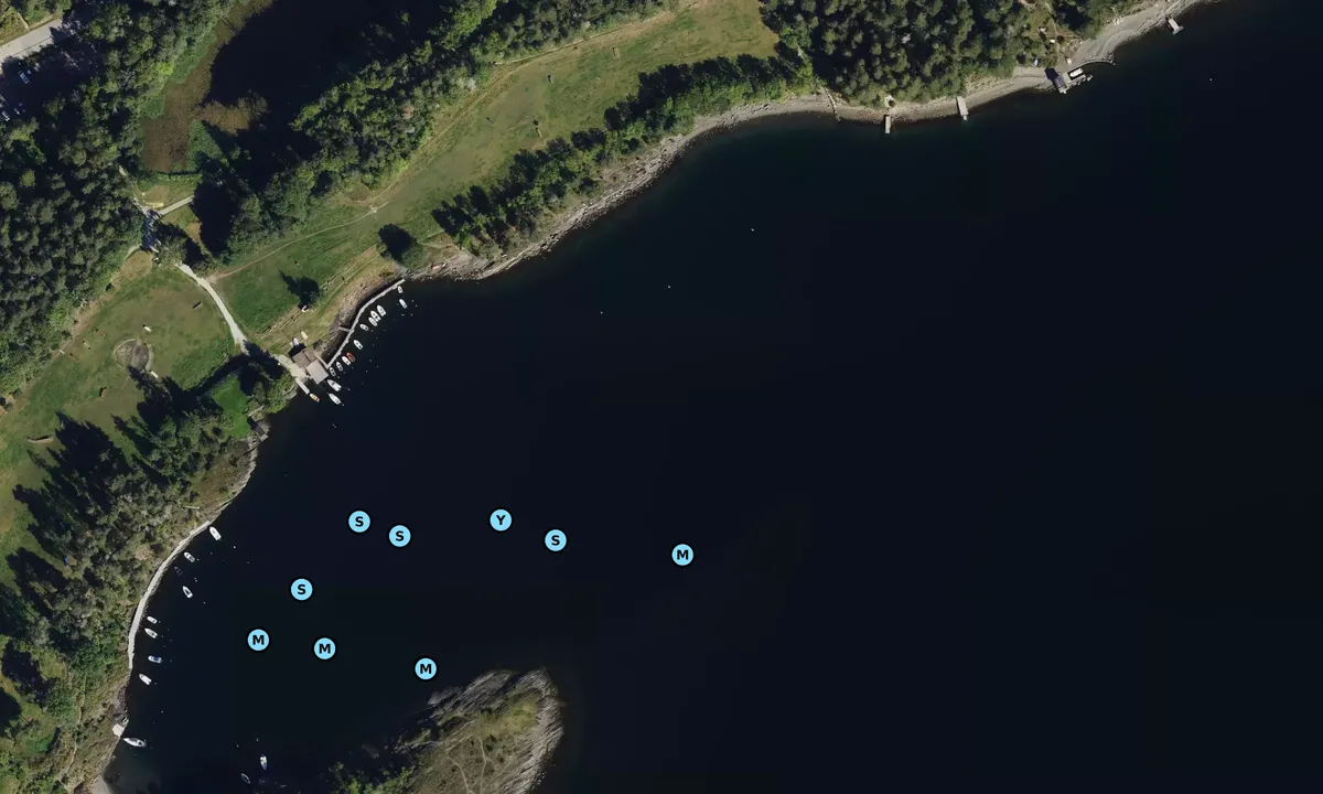 Satelite image of Spirebukta