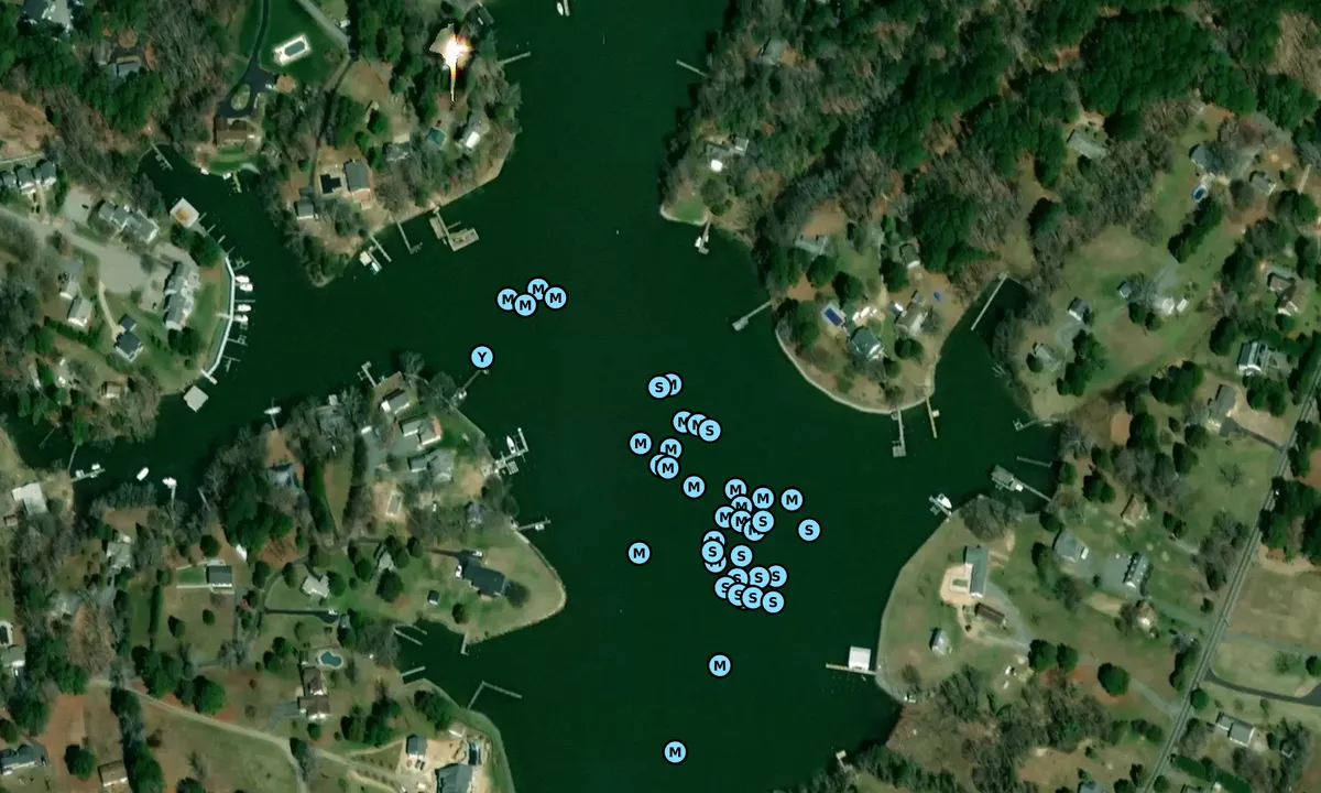 Satelite image of St. John Creek