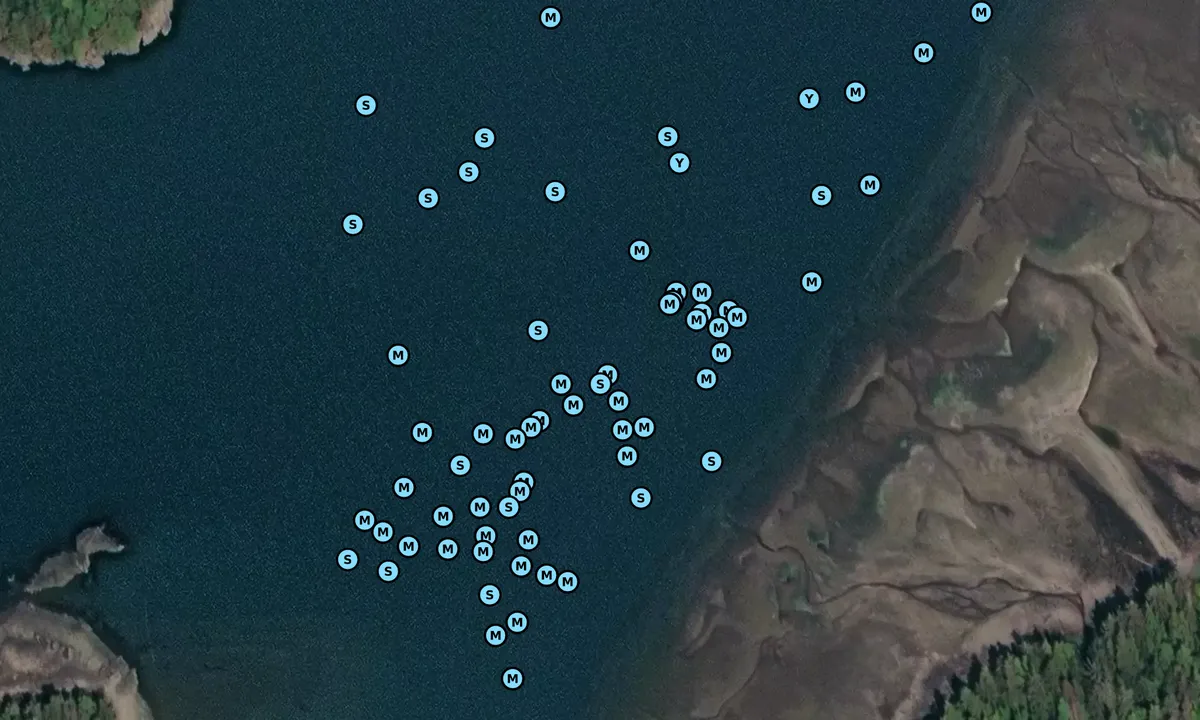 Satelite image of St John Harbor