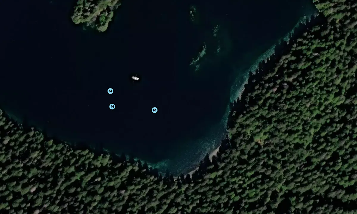 Satelite image of St.John's