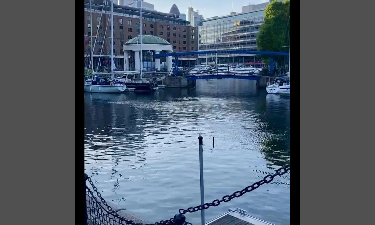 St Katherine Docks - London