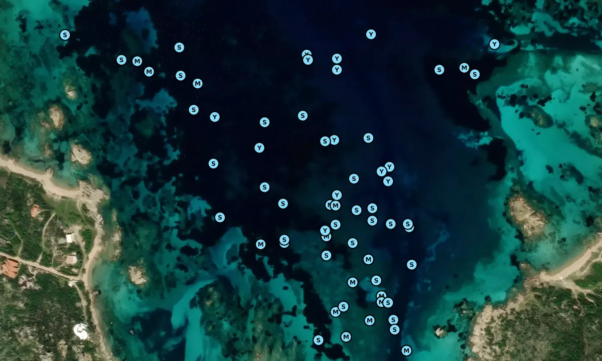 Satelite image of Stagno Torto