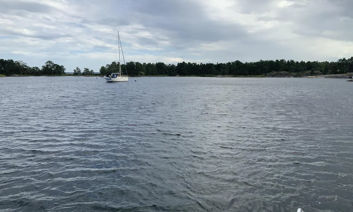 Stångehamn - SXK Dacke bouy: {"base": "no", "no": "Mot s\u00f8r er to av SXK b\u00f8yer", "se": "Mot s\u00f6der finns tv\u00e5 av SXK-bojarna", "en": "To the south are two of SXK buoys", "da": "Mod syd er to af SXK b\u00f8jer"}