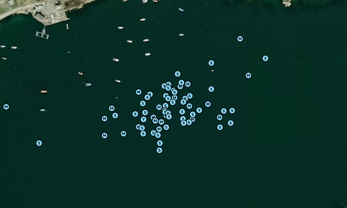 Satelite image of Staple Point