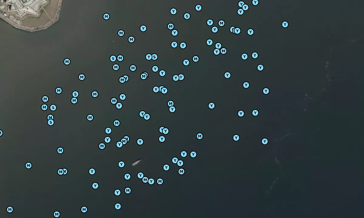 Satelite image of Statue of Liberty Anchorage