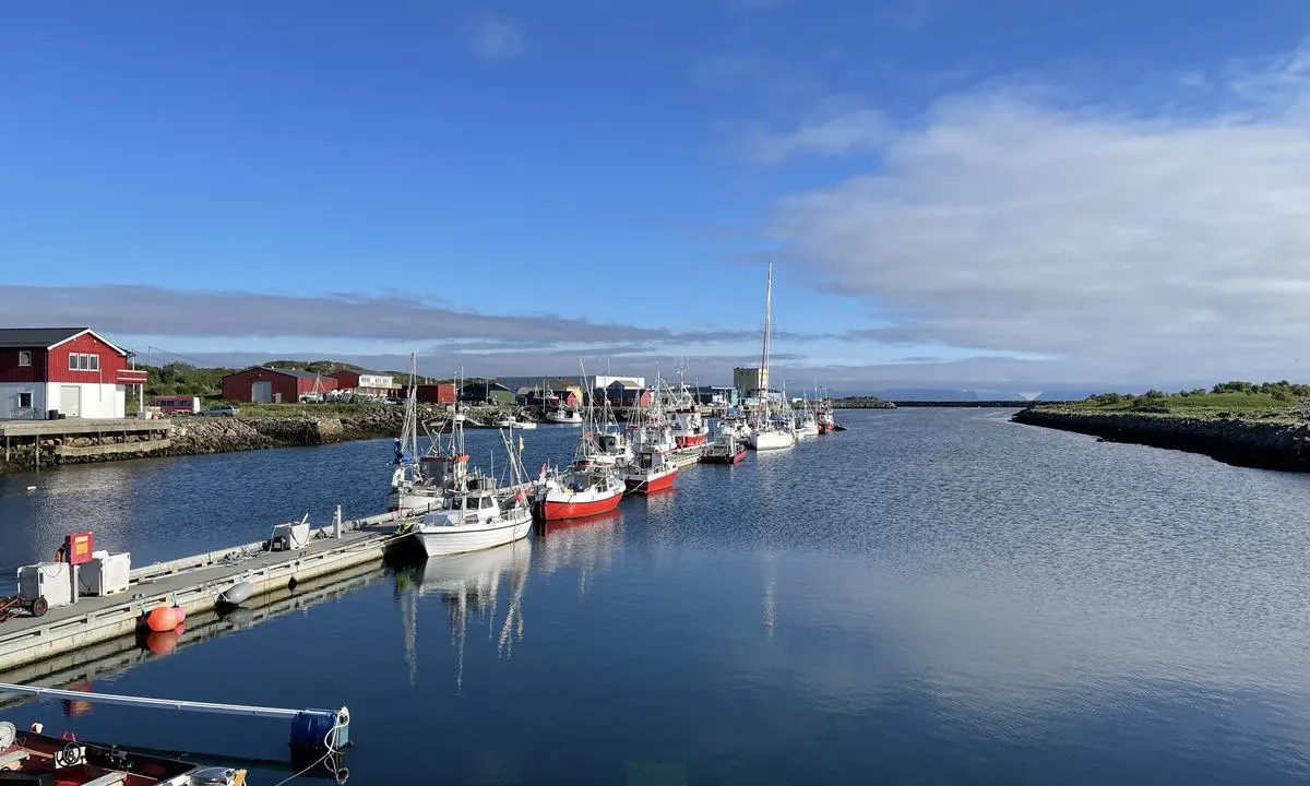 Steinesjø