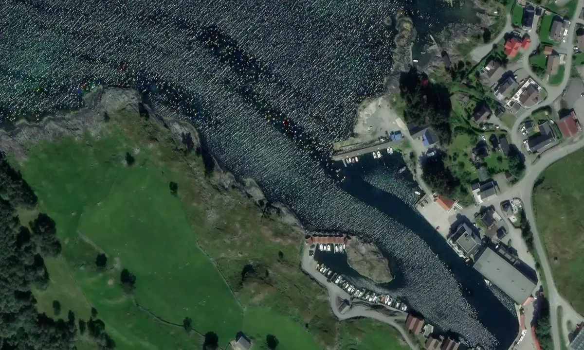 Satelite image of Steinnesvåg Båtforening