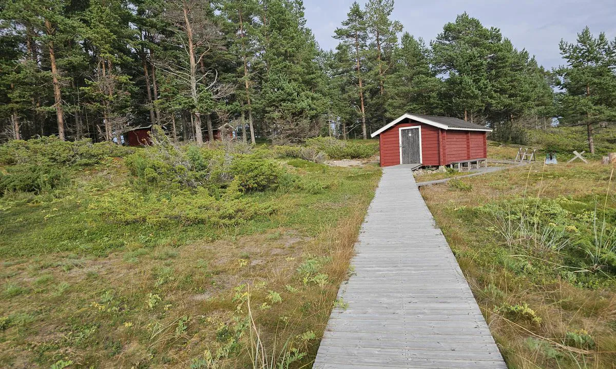 Stenskäret: Vedförråd