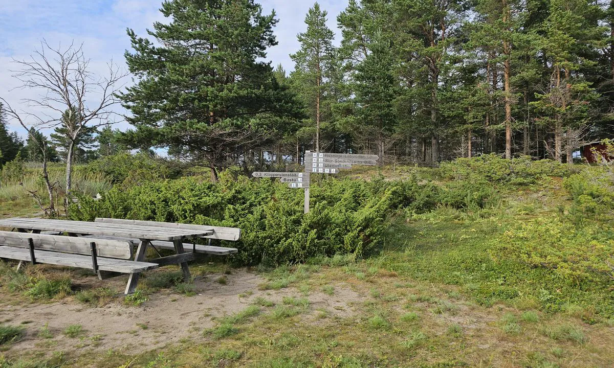 Stenskäret: {"base": "se", "no": "Grillplass med langbord", "se": "Grillplats med l\u00e5ngbord", "en": "Barbecue area with long table", "da": "Grillplads med langbord"}