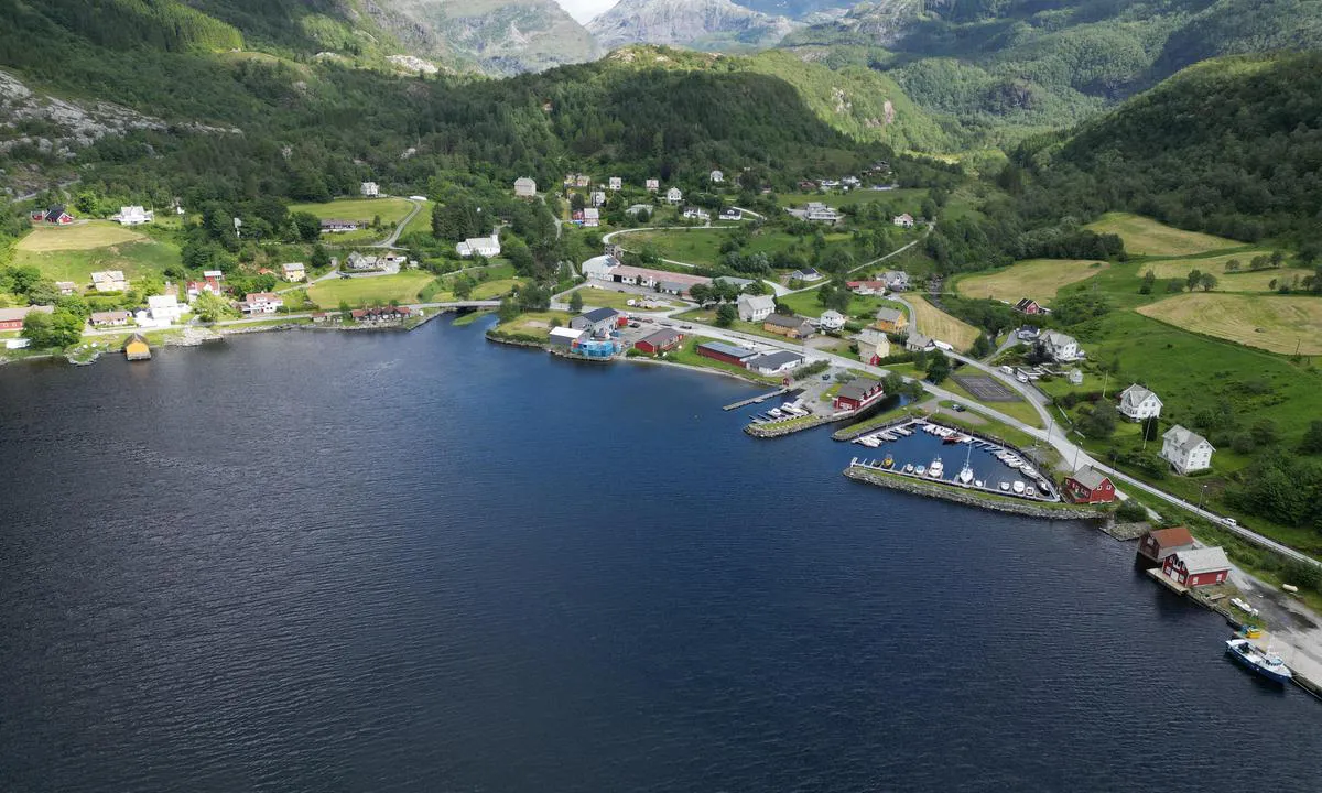 {"base": "no", "no": "Stongfjorden", "se": "Stongfjorden", "en": "Stongfjord", "da": "Stongfjorden"}