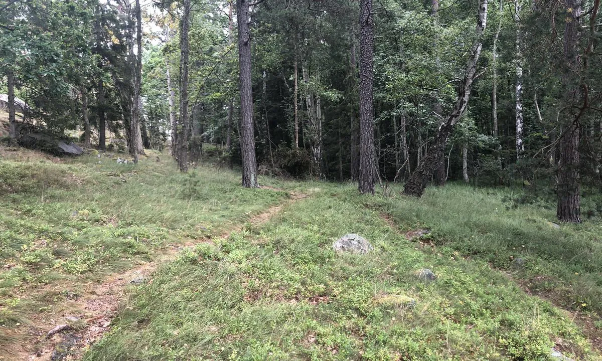 {"base": "en", "no": "P\u00e5 Stora Korpmaren er det mange stier \u00e5 utforske \u00f8ya.", "se": "P\u00e5 Stora Korpmaren finns det m\u00e5nga stigar att utforska p\u00e5 \u00f6n.", "en": "On Stora Korpmaren there are lots og trails to explore the island.", "da": "P\u00e5 Stora Korpmaren er der mange stier at udforske \u00f8en med."}