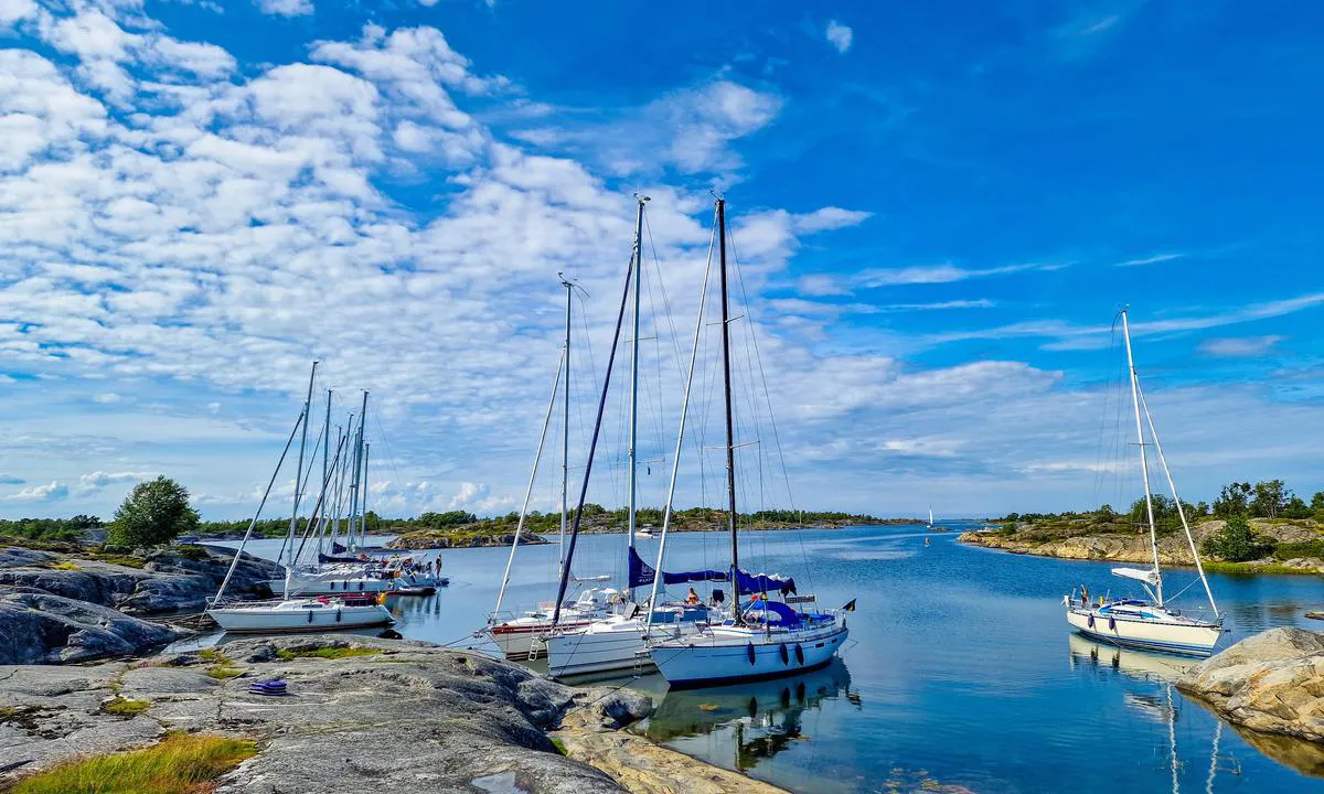 Stora Nassa - Gubben